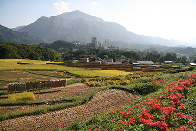 武甲山と寺坂棚田