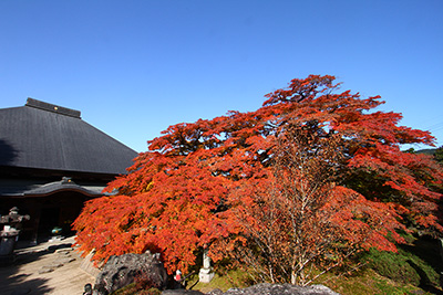 札所8番西善寺