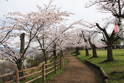 羊山公園見晴らしの丘