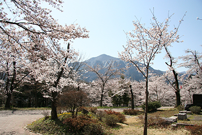 羊山公園見晴らしの丘