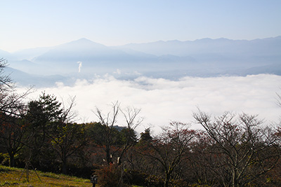 美の山公園