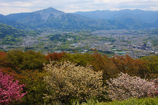 武甲山と秩父市街