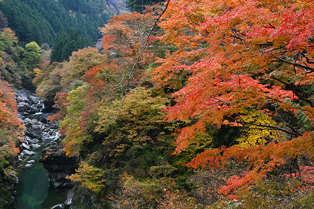 奥秩父の紅葉